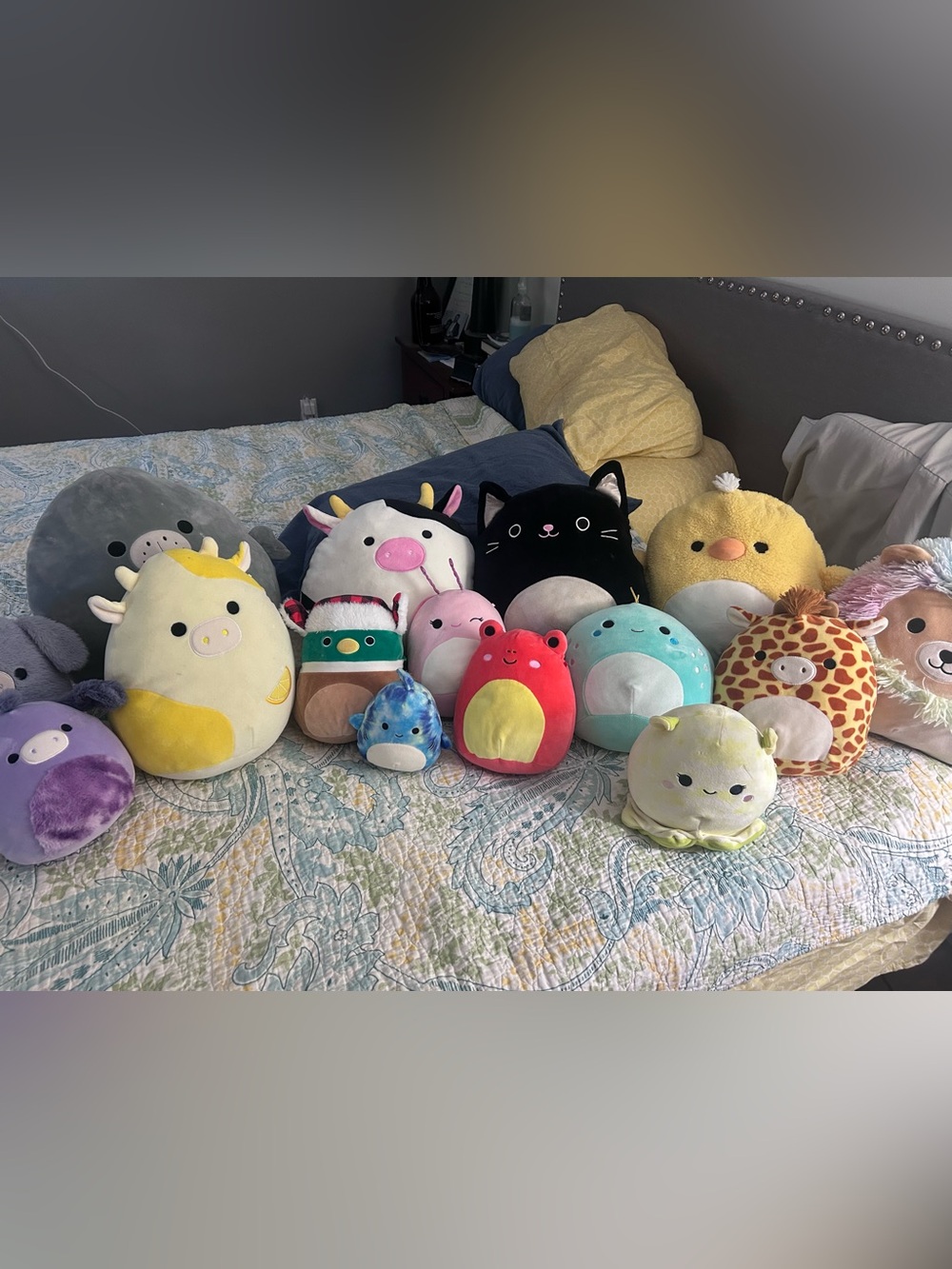 Lot of Squishmallows